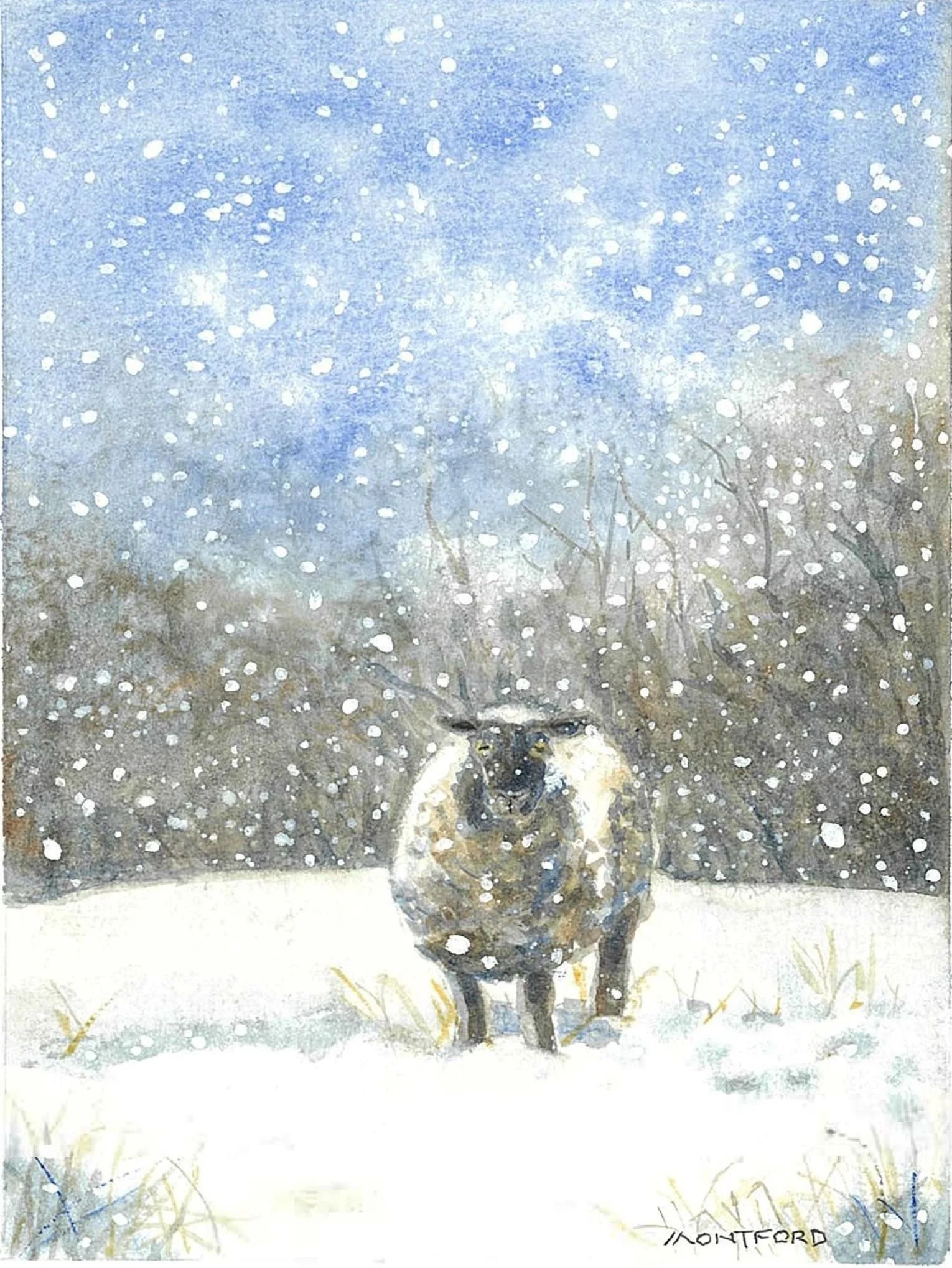 Hello Ewe-no frame.JPG