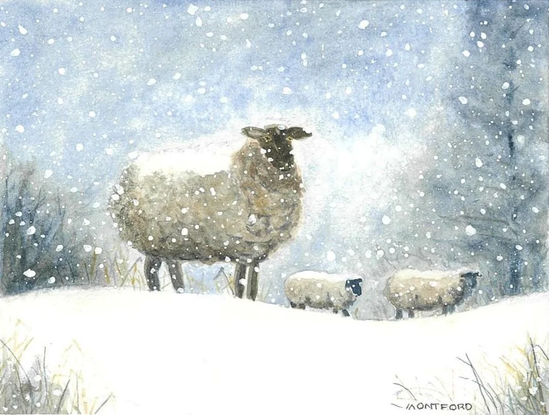 Hello Ewes - no frame.JPG