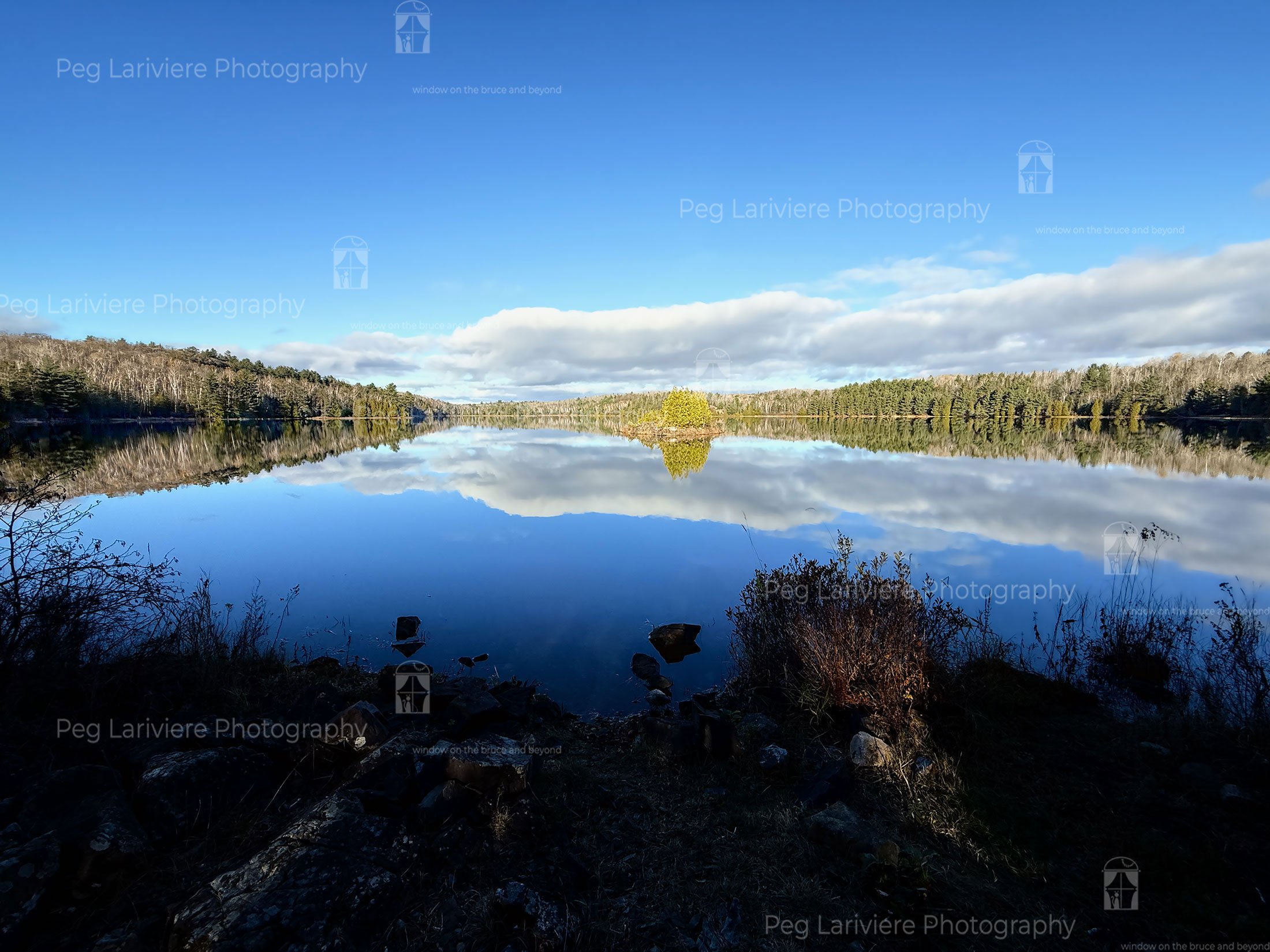 Forgeting a Watermark…
