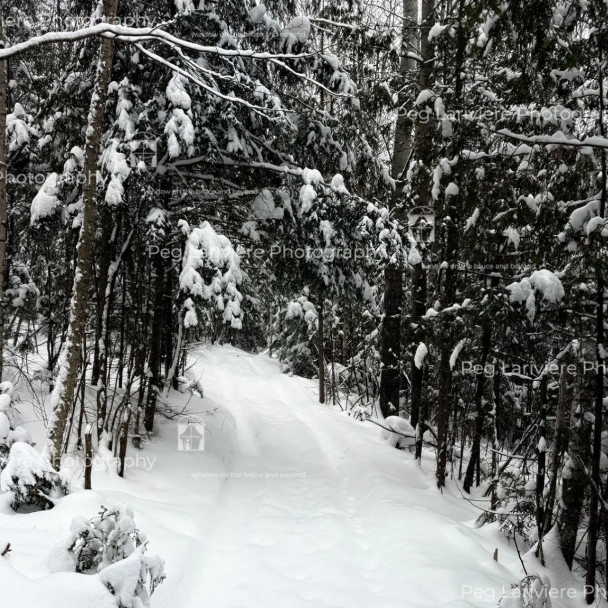 Stepping out the back door…
