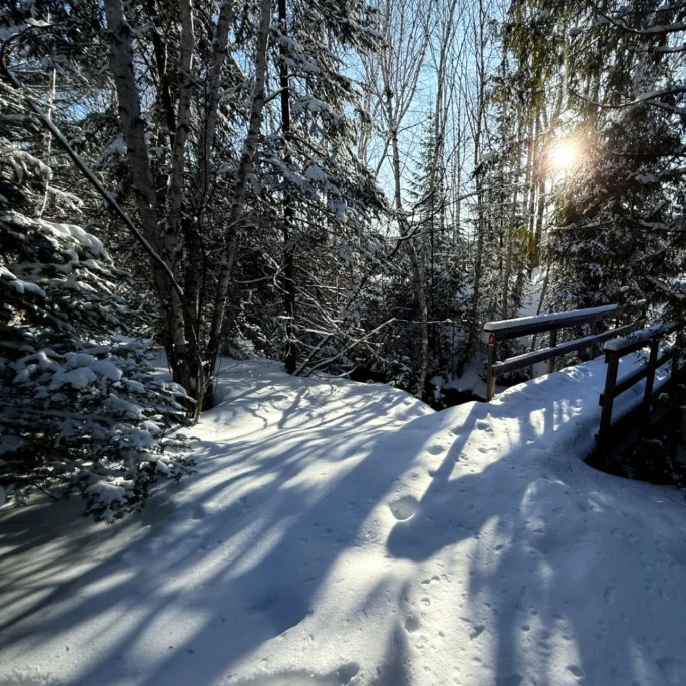 a VERY BRIEF post to celebrate the Sun’s return and being…