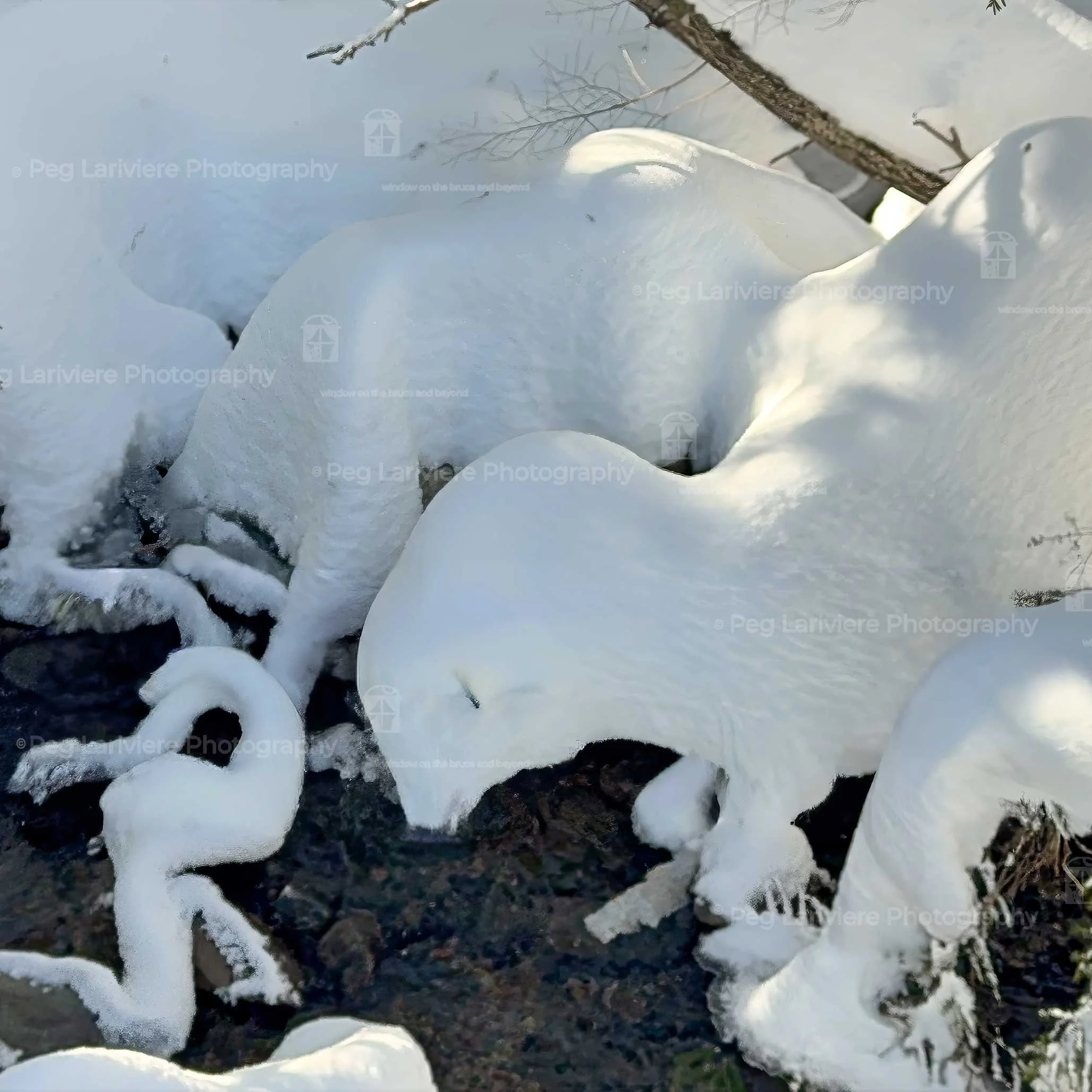 Snow-kissed streams make a wonderful setting for enchanting sculptures