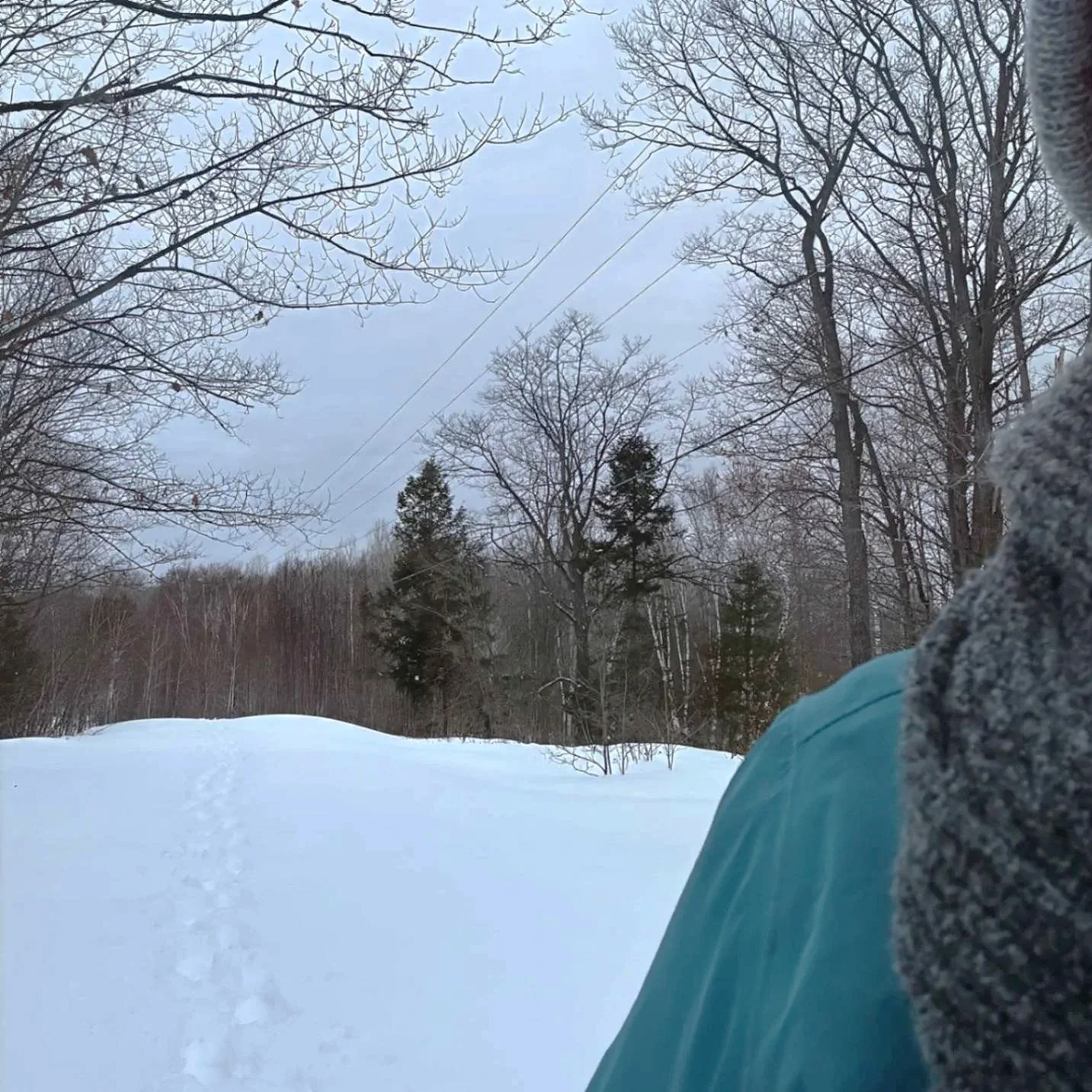 Navigating fresh snow - Breaking Trail