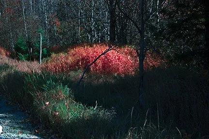 Intermediate version on its way to becoming Heart and Soul