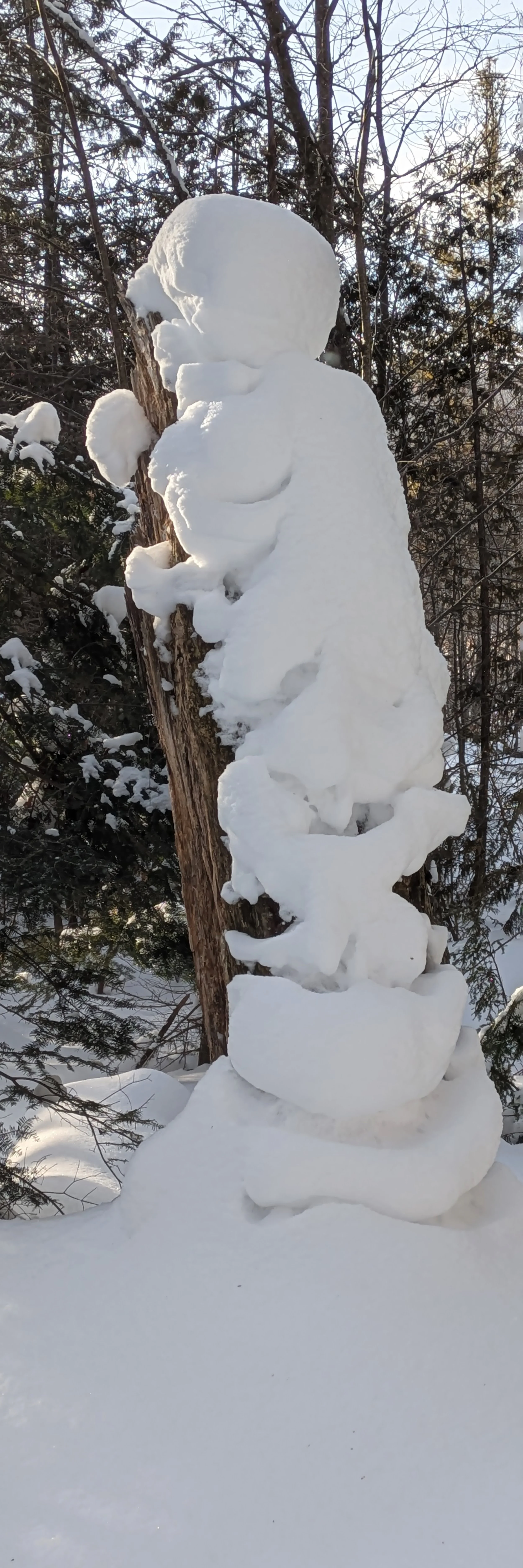 what looks like a snowman hugging a dead tree a hug