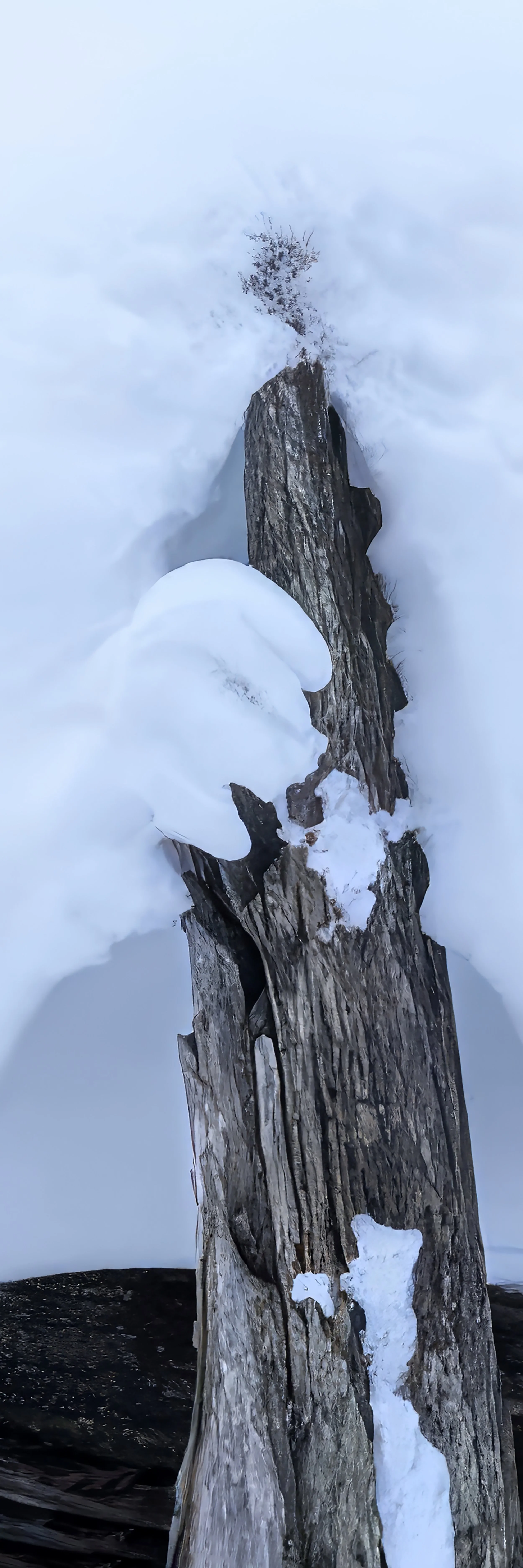 sculpted, frozen snow fingers playing a clarinet