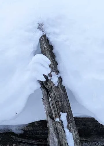 Snow sculpture of a hand playing a clarinet of sax.