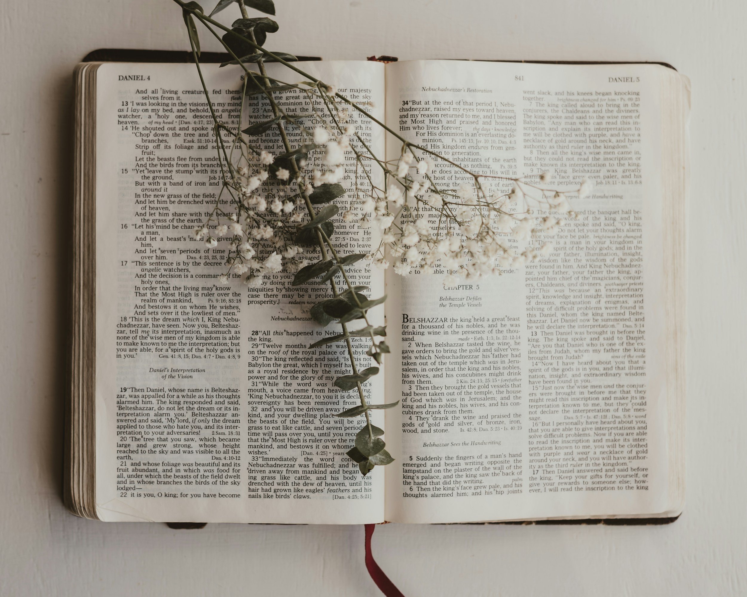 Open Bible, symbolizing finding hope and truth in Scripture during trauma therapy for women and mothers at Untangle & Uplift Therapy in Maryland