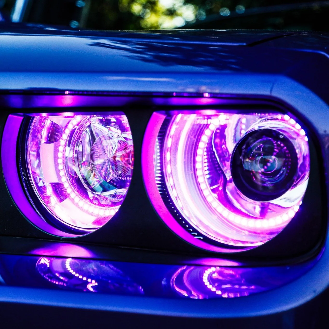 Ultragloss at Octane Nights 2025: Celebrating Car Culture and Community