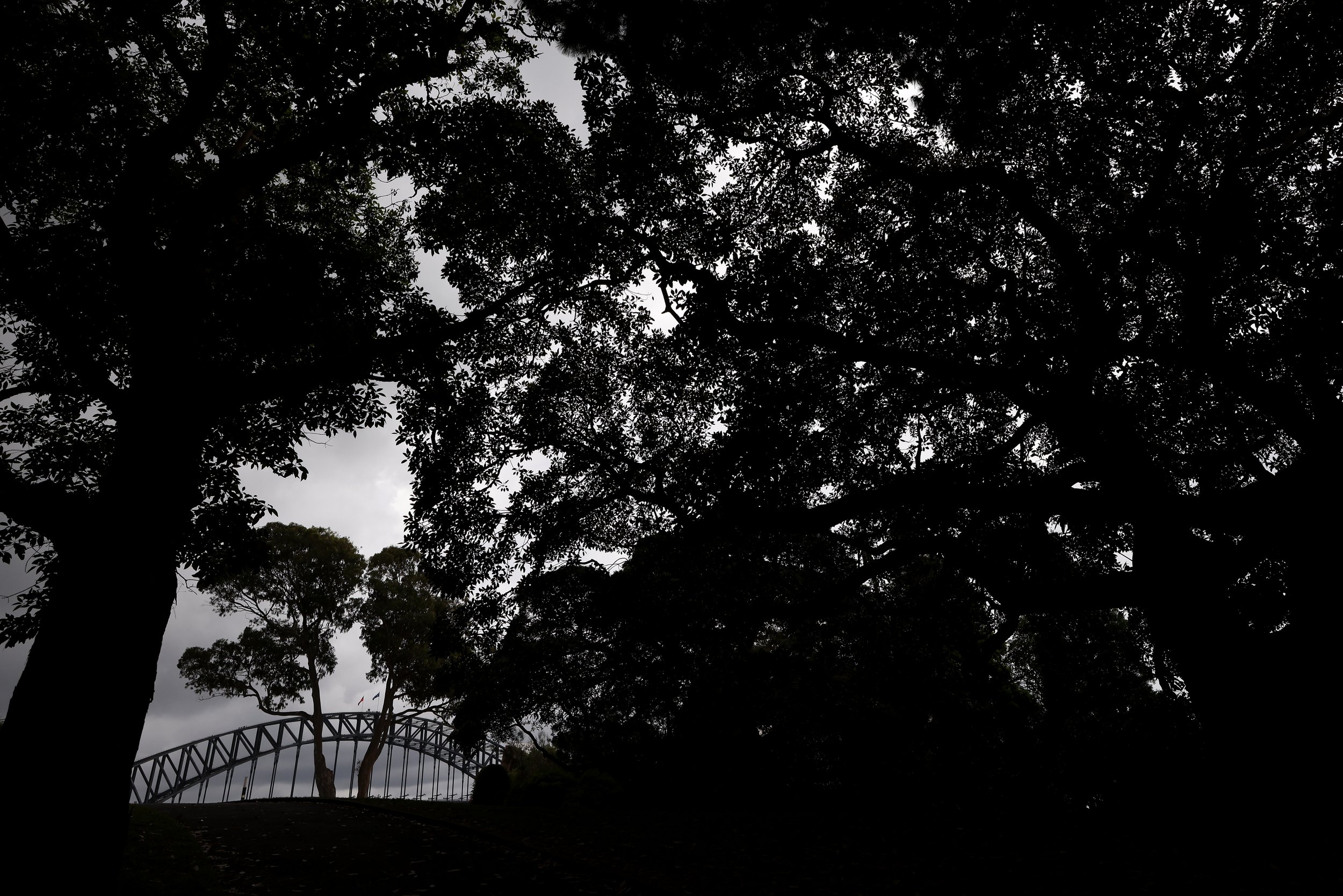 050A8747_e.jpg