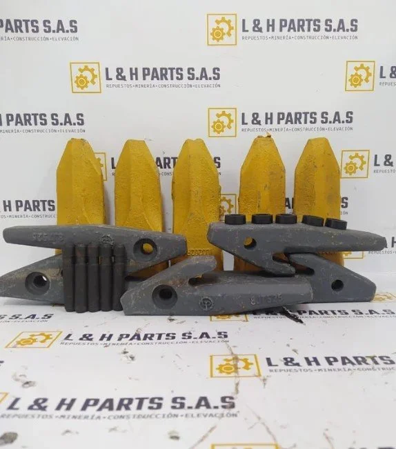 Dientes Bases Pines Talla 20