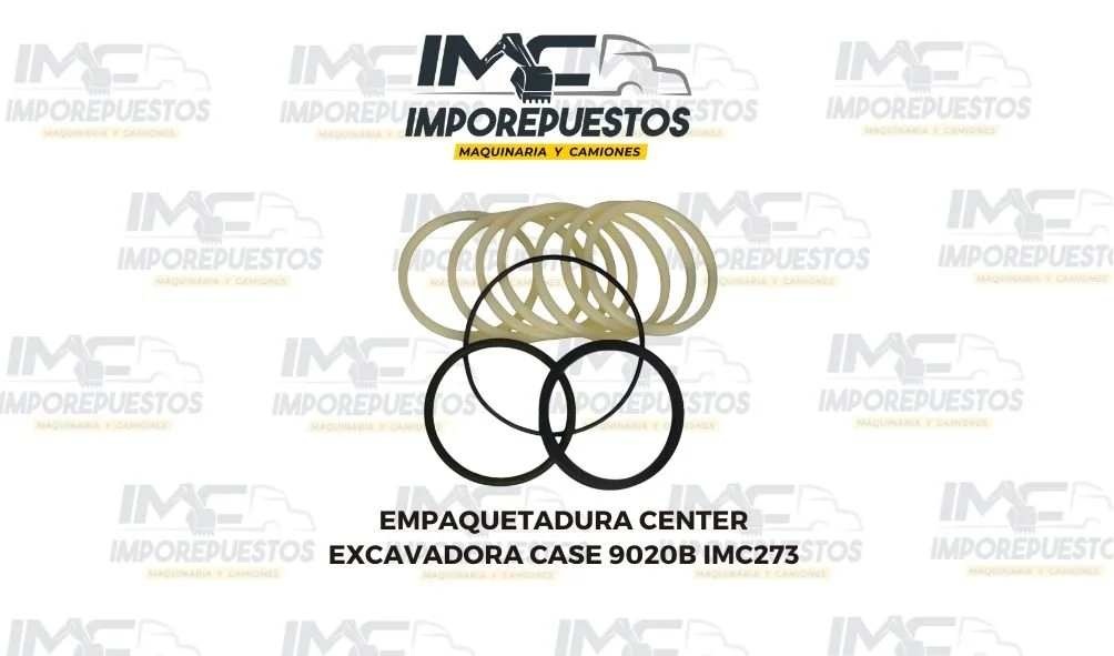 Empaquetadura Center Excavadora CASE 9020B IMC273