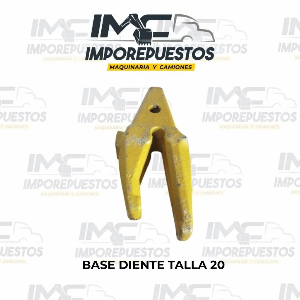 Base diente talla 20
