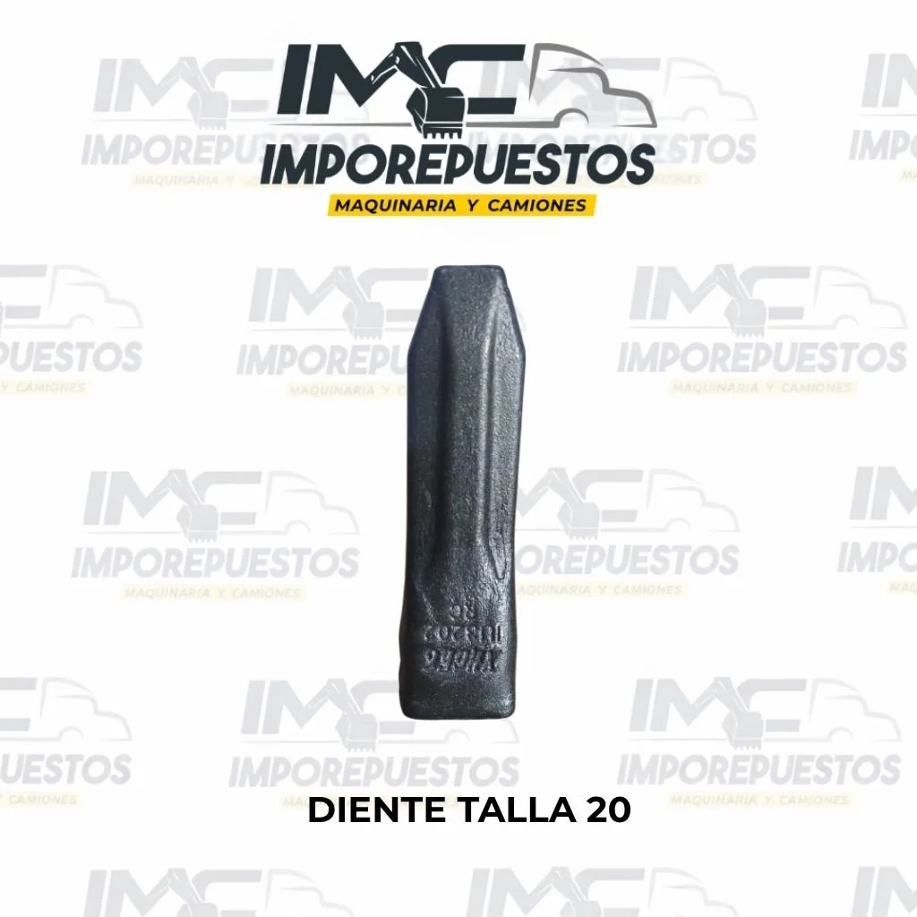 Diente talla 20 en Colombia