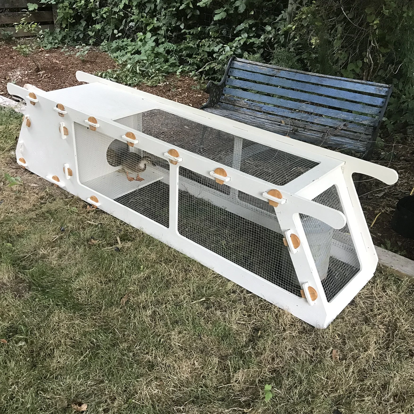 Duck Run_Plywood_01.JPG
