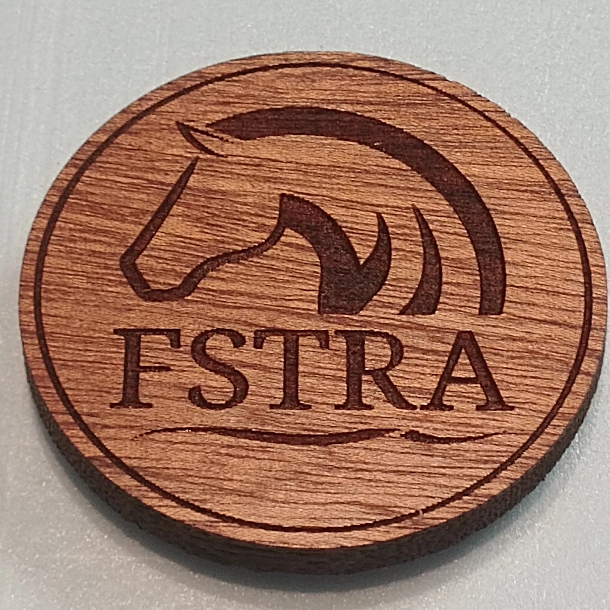 FSTRA Magnet.jpg