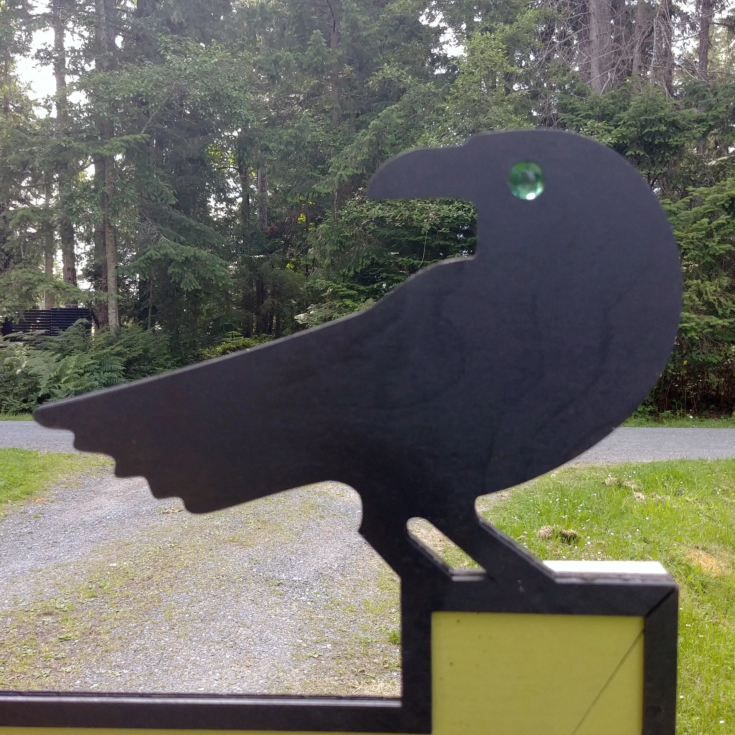 Raven Sign Laser.jpg