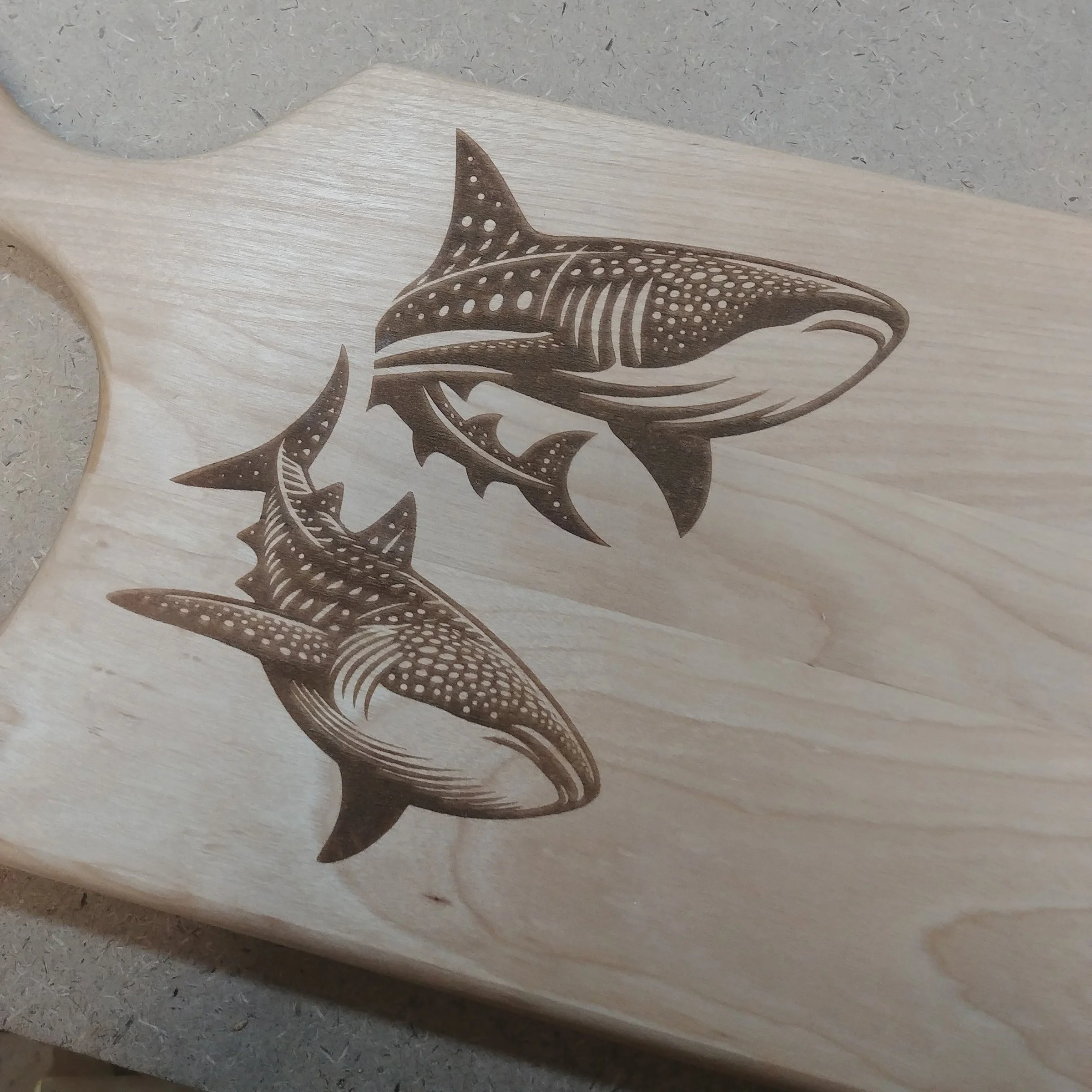 Whale Shark Board.jpg