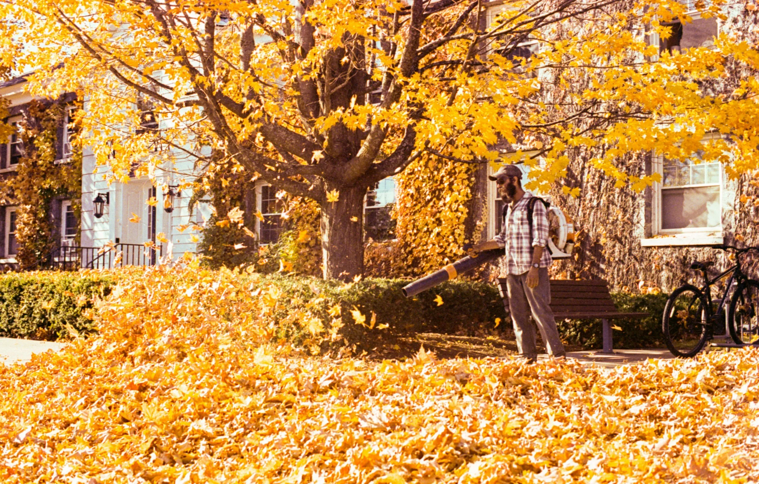 Spring Lawn Care in Midtown Toronto: What to Do and When