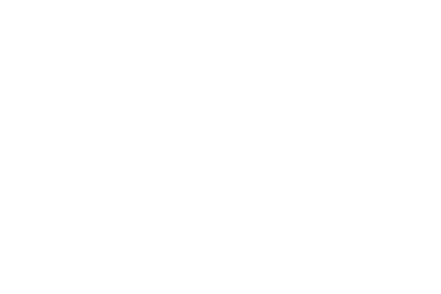 Chattanooga Future Fund