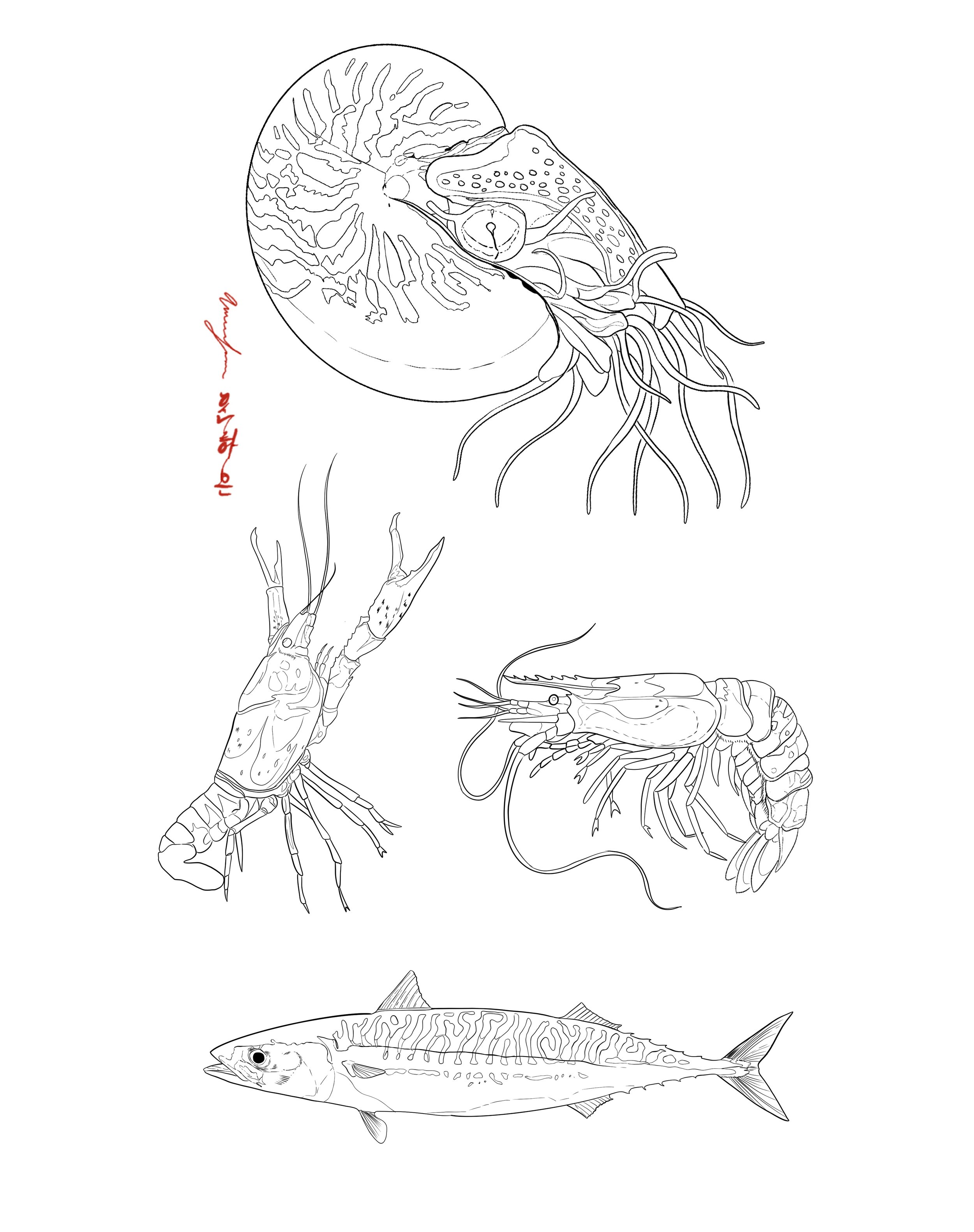 Sea friends :D
Intended to be small shaded illustrative/realism
Please contact for availability & pricing