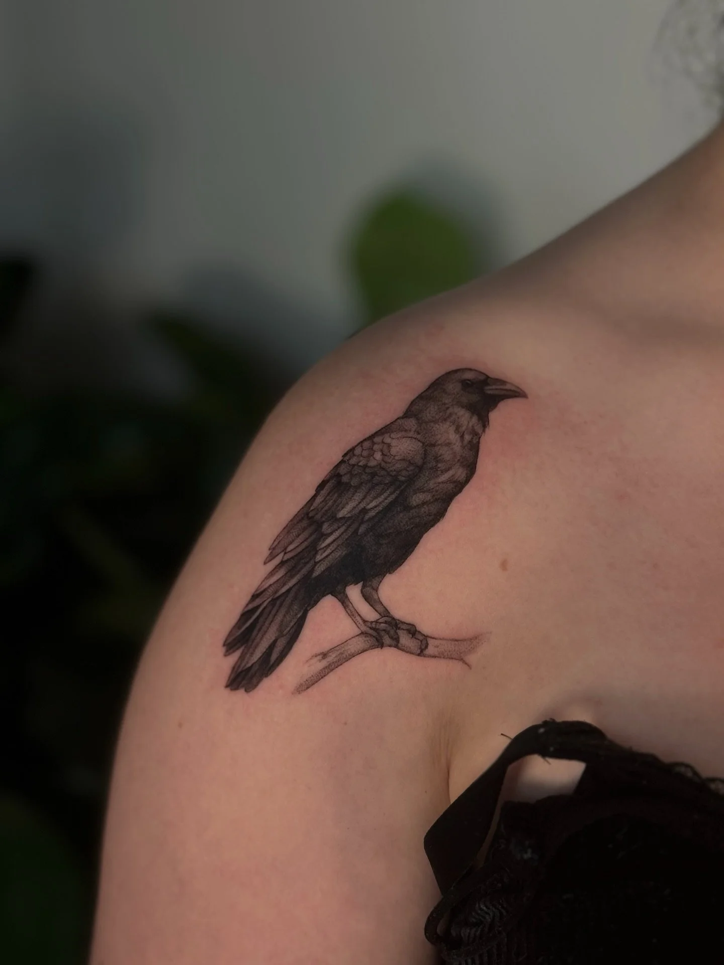 Raven done @theterracestudio