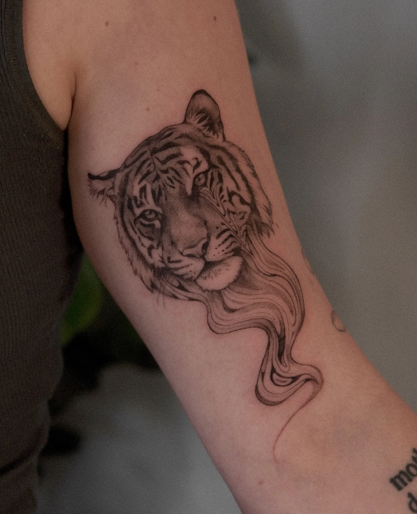 Warped tiger done @theterracestudio