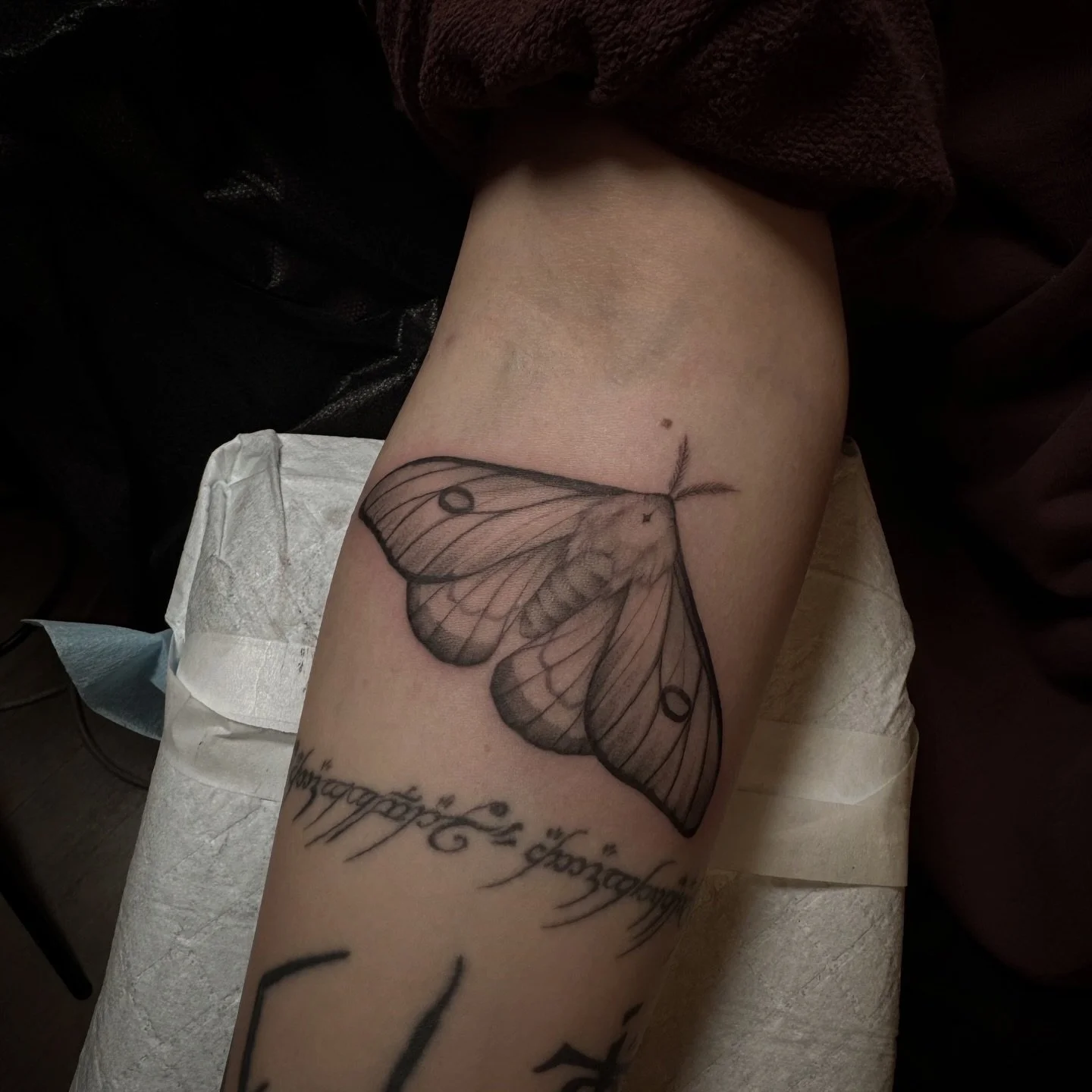 Moth flash piece done @theterracestudio