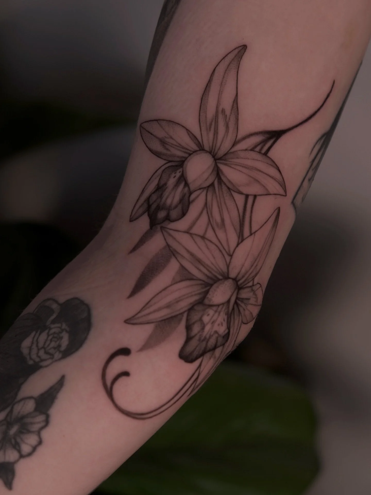 Thank you @alwaystattoostudio for coming to see me all the way from New Zealand! 🫶 
Done at @theterracestudio