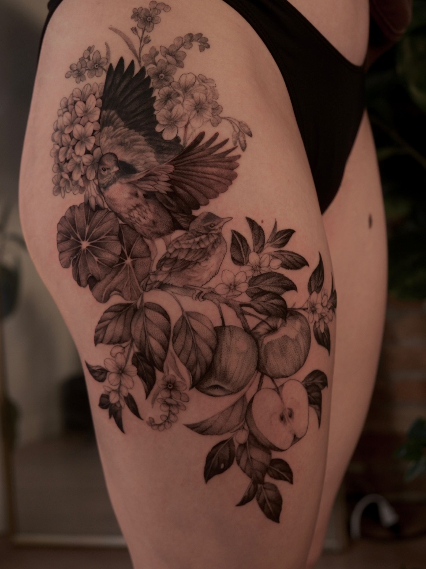 Robins, geraniums, forget-me-nots and apples 🍎

Done @theterracestudio