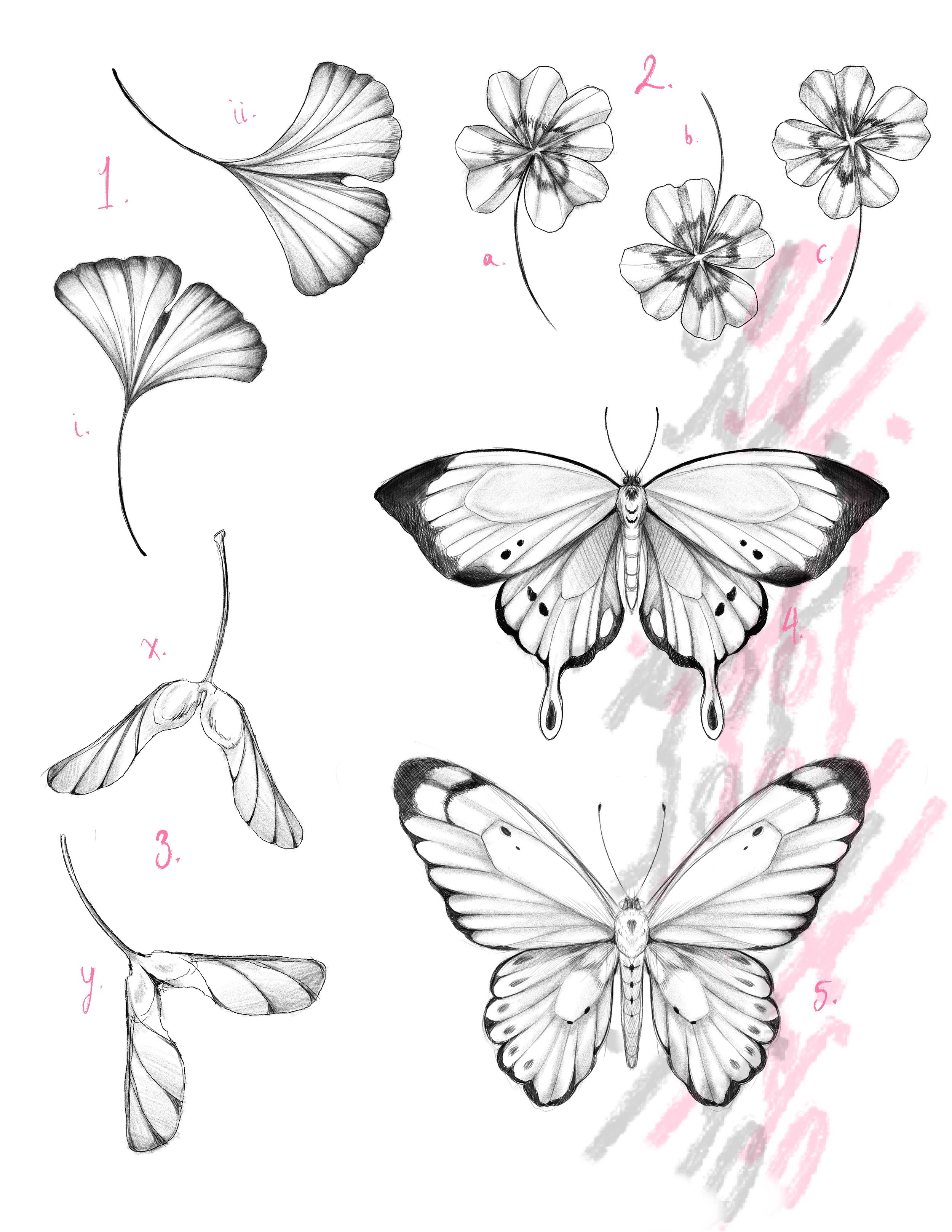 Untitled_Artwork.jpeg