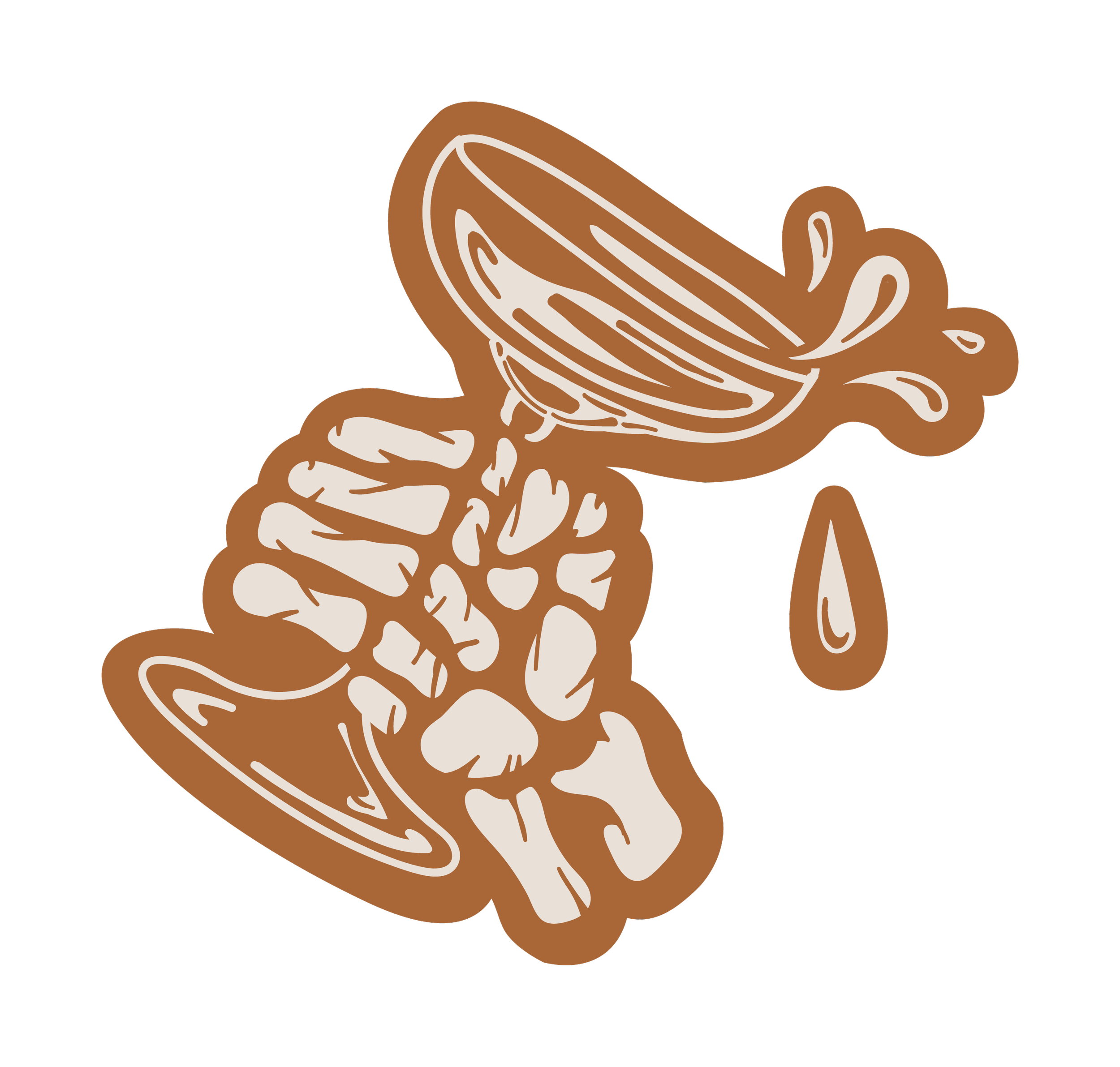 logo-leitmotiv-capture