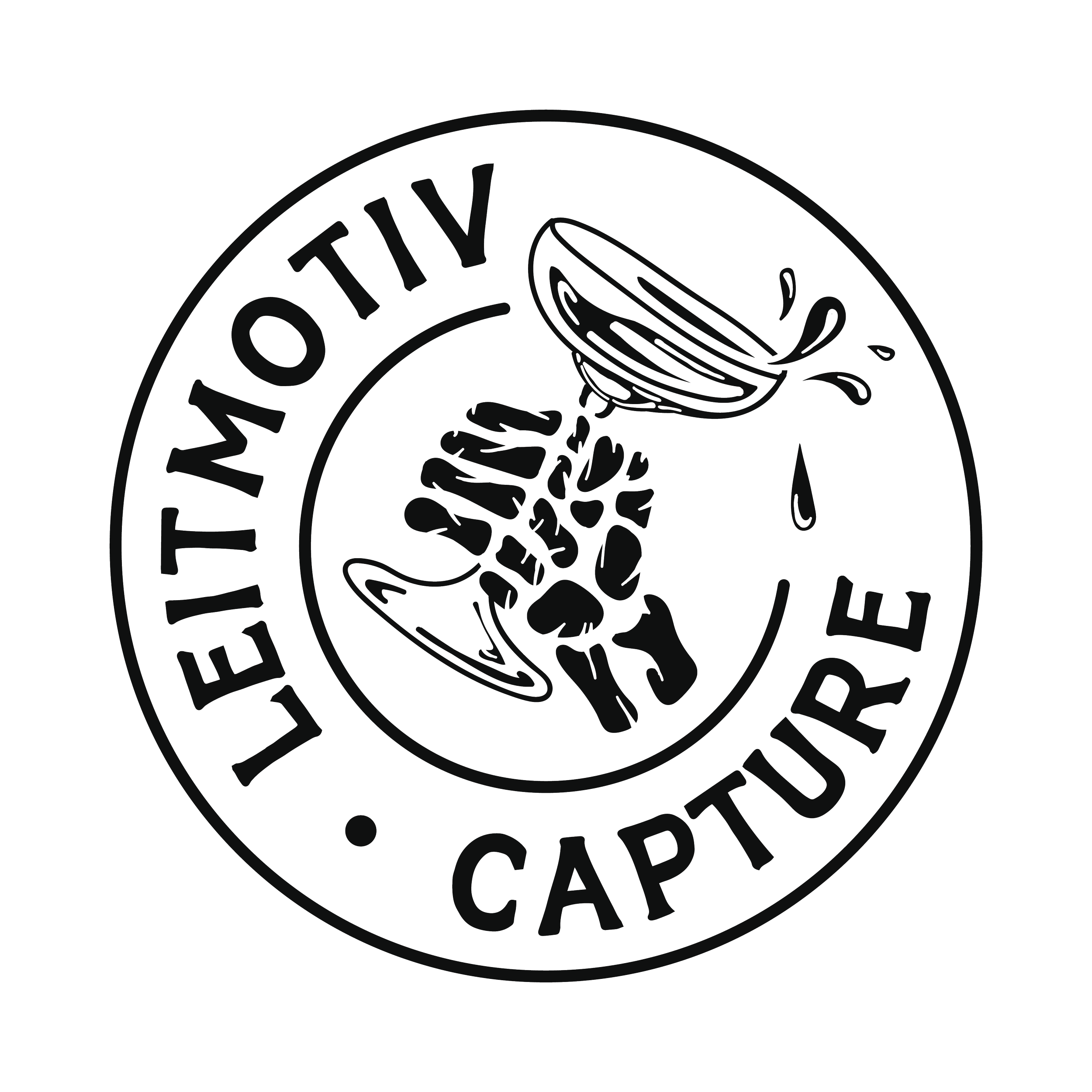 logo leitmotiv capture