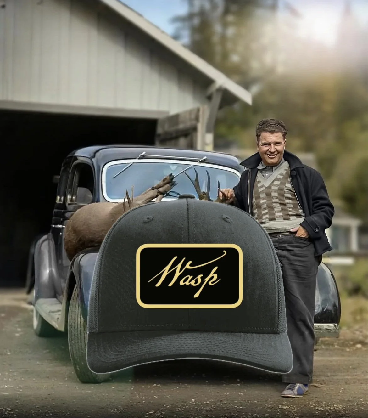 The Wasp