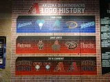 The Logos – The Diamondbacks logos have evolved since their inception in 1998, with the first one being the rattlesnake coiled up and ready to strike. 