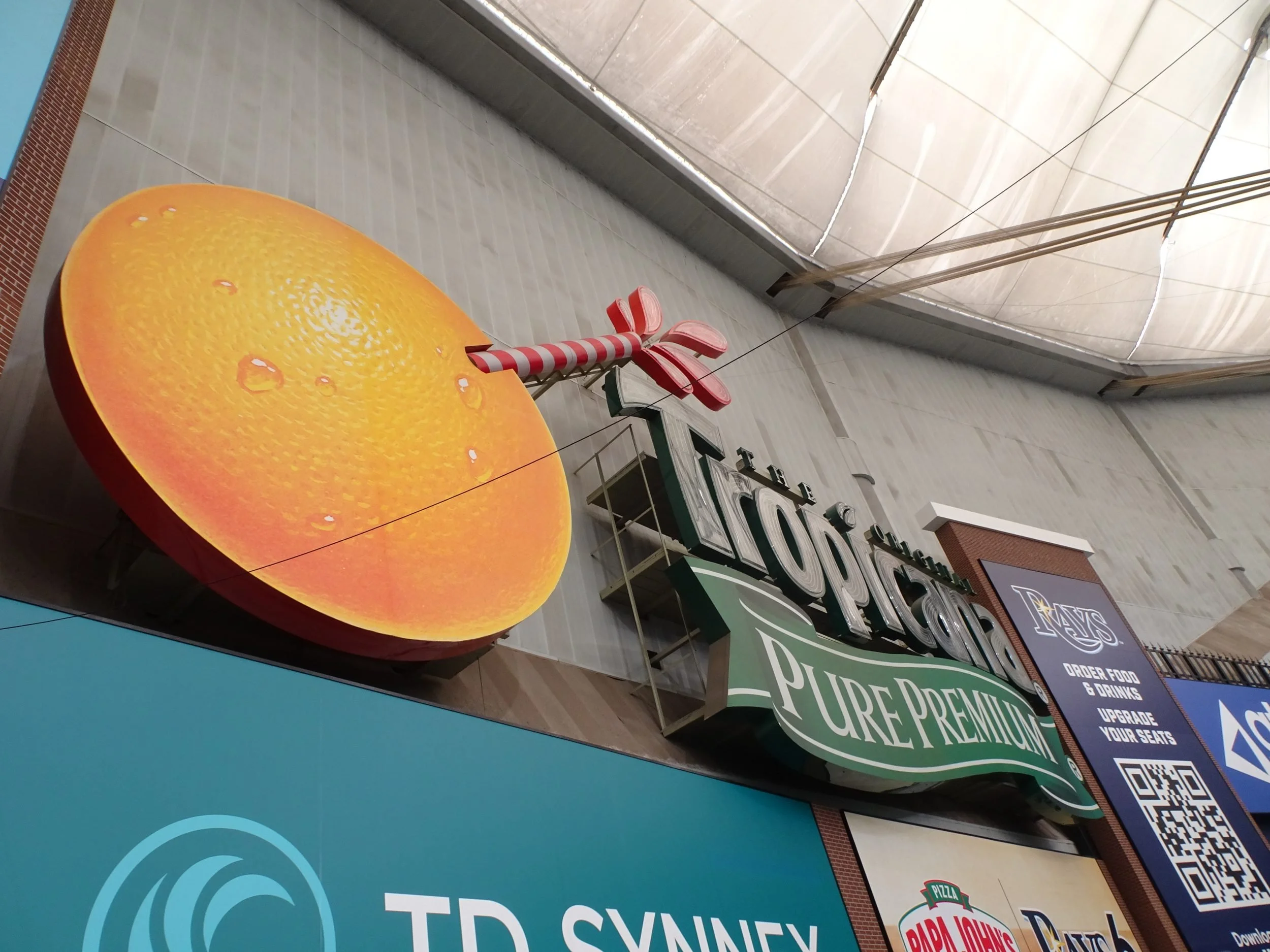 TampaBay03465.jpg