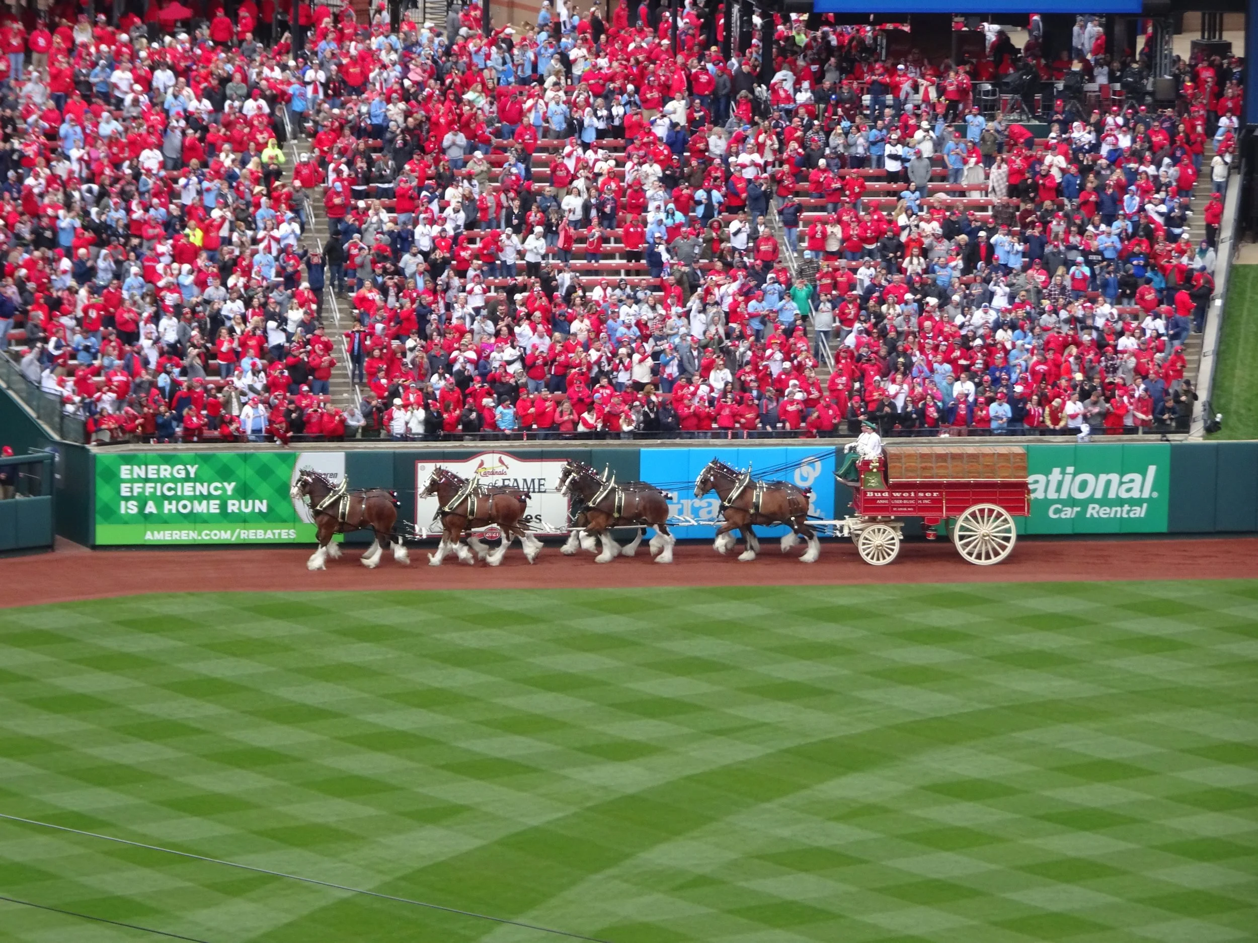 StLouis03302.jpg