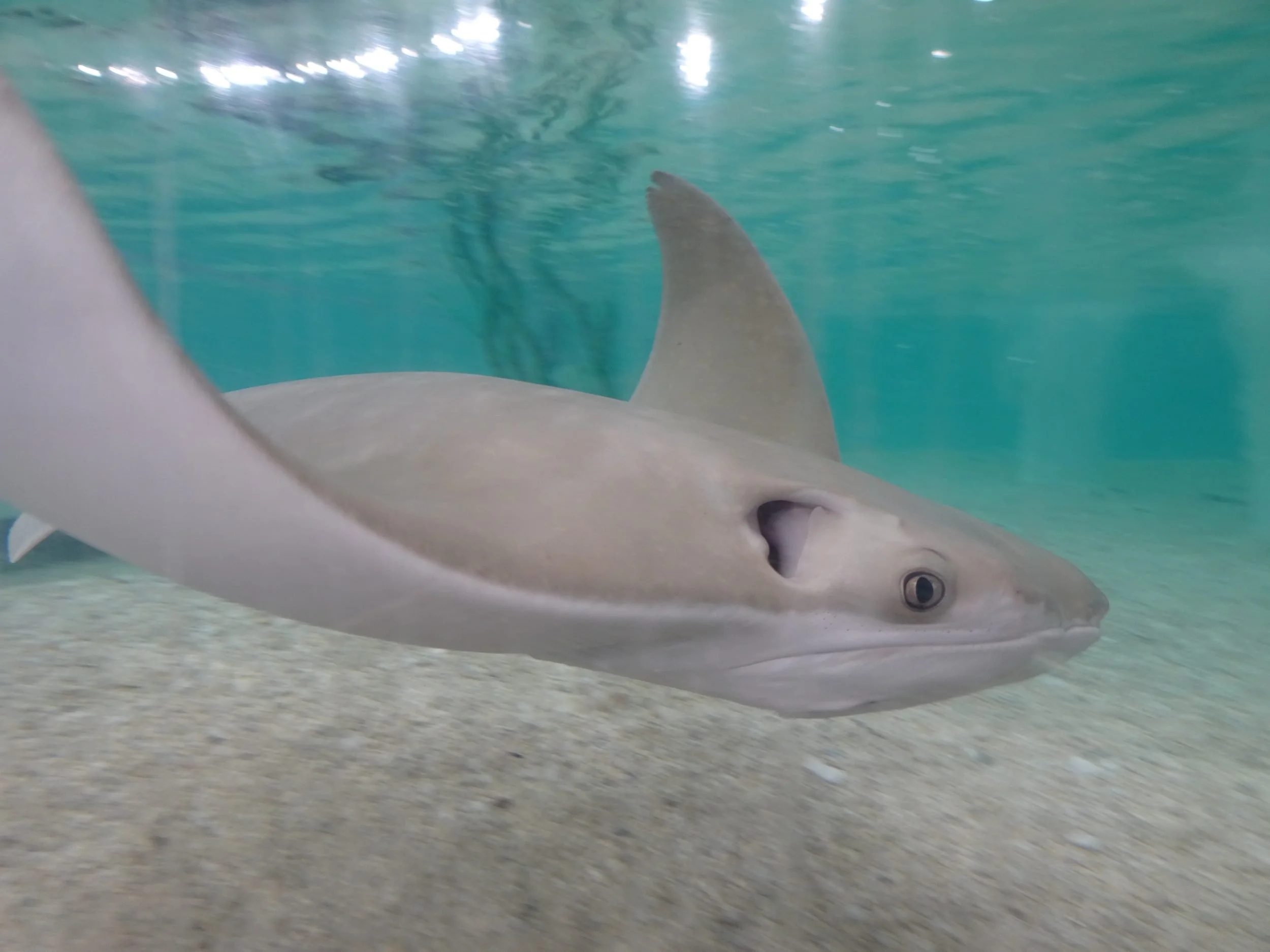 TampaBay03490.jpg