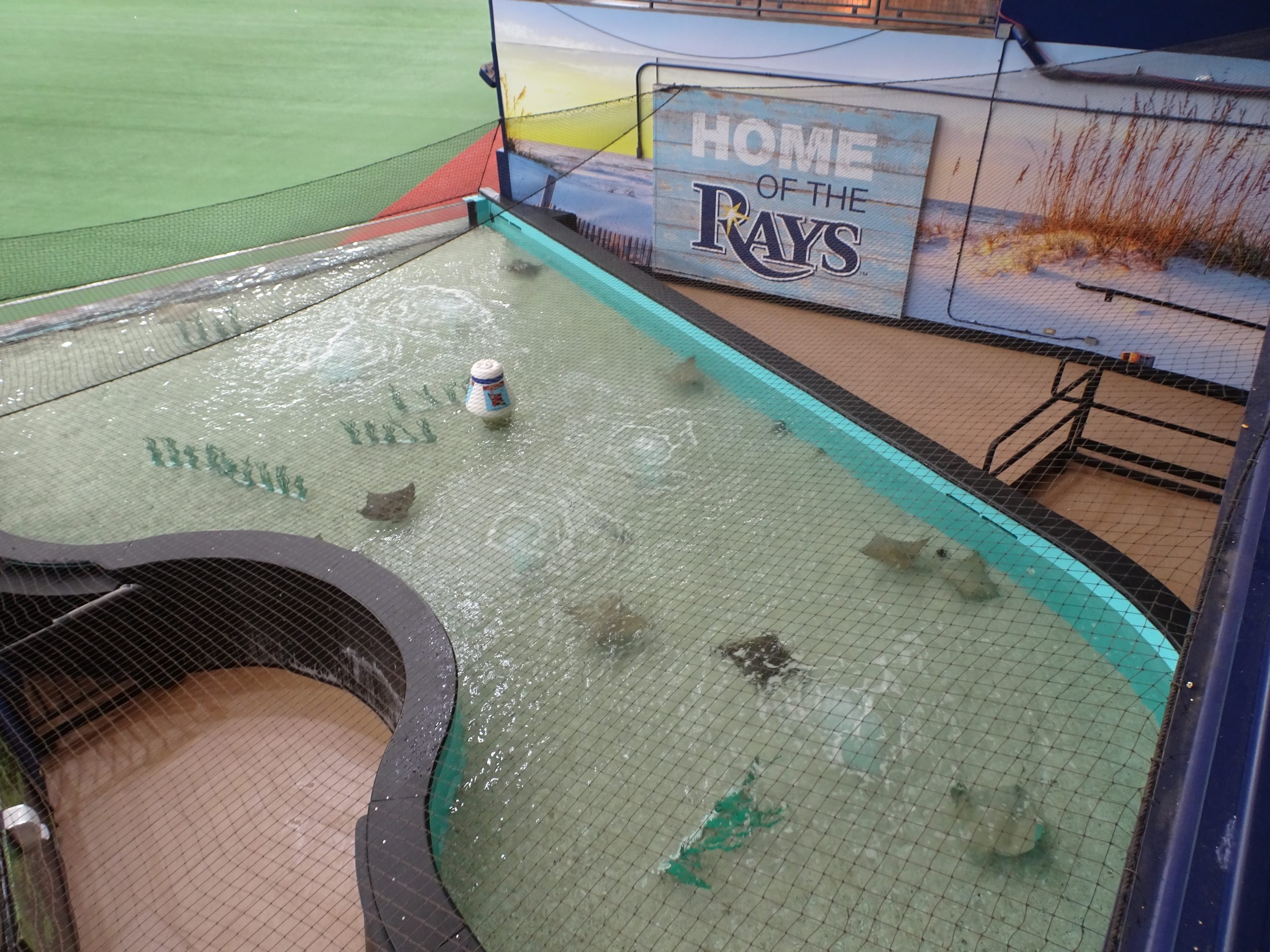 TampaBay03497.jpg