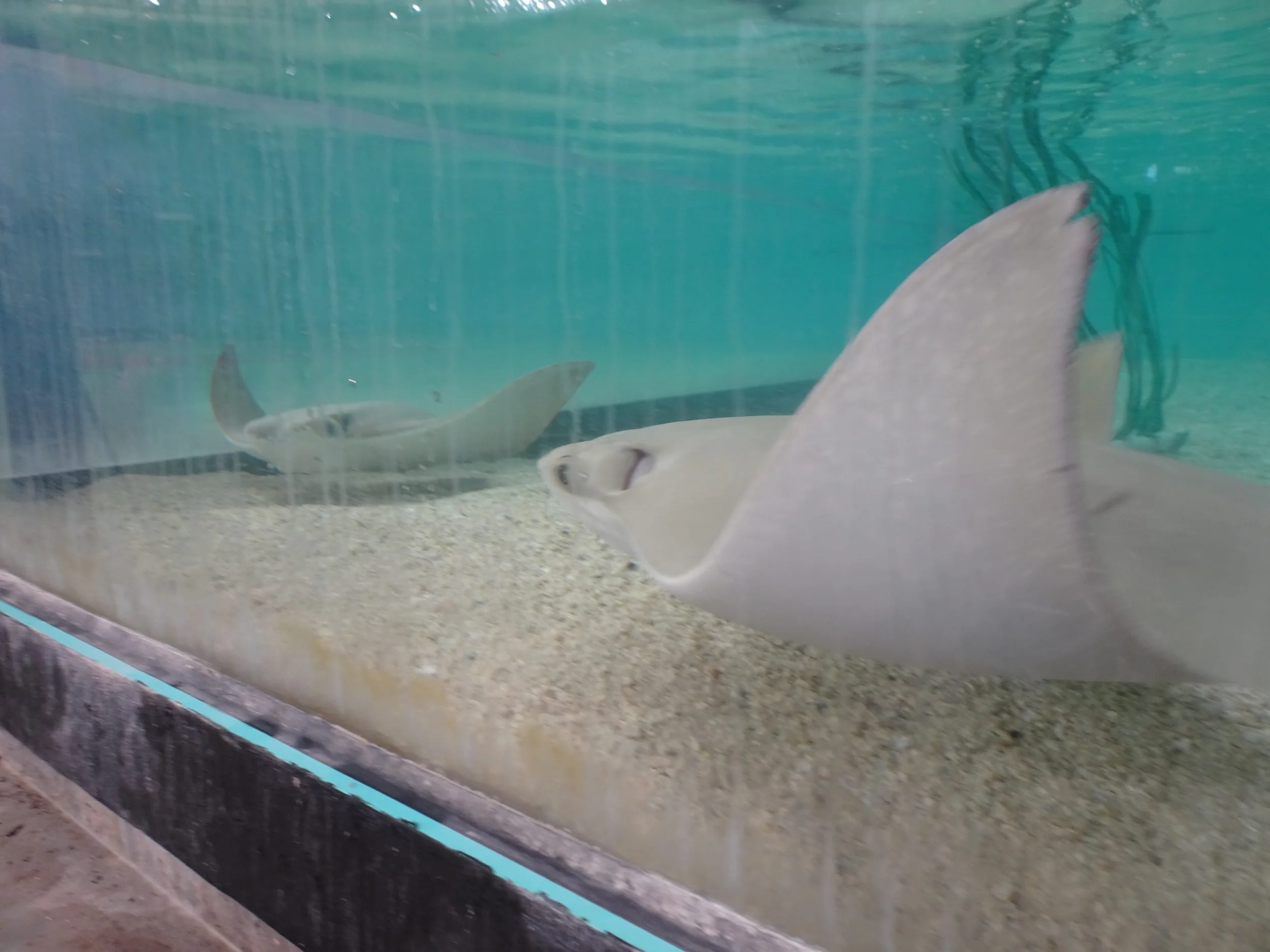 TampaBay03487.jpg
