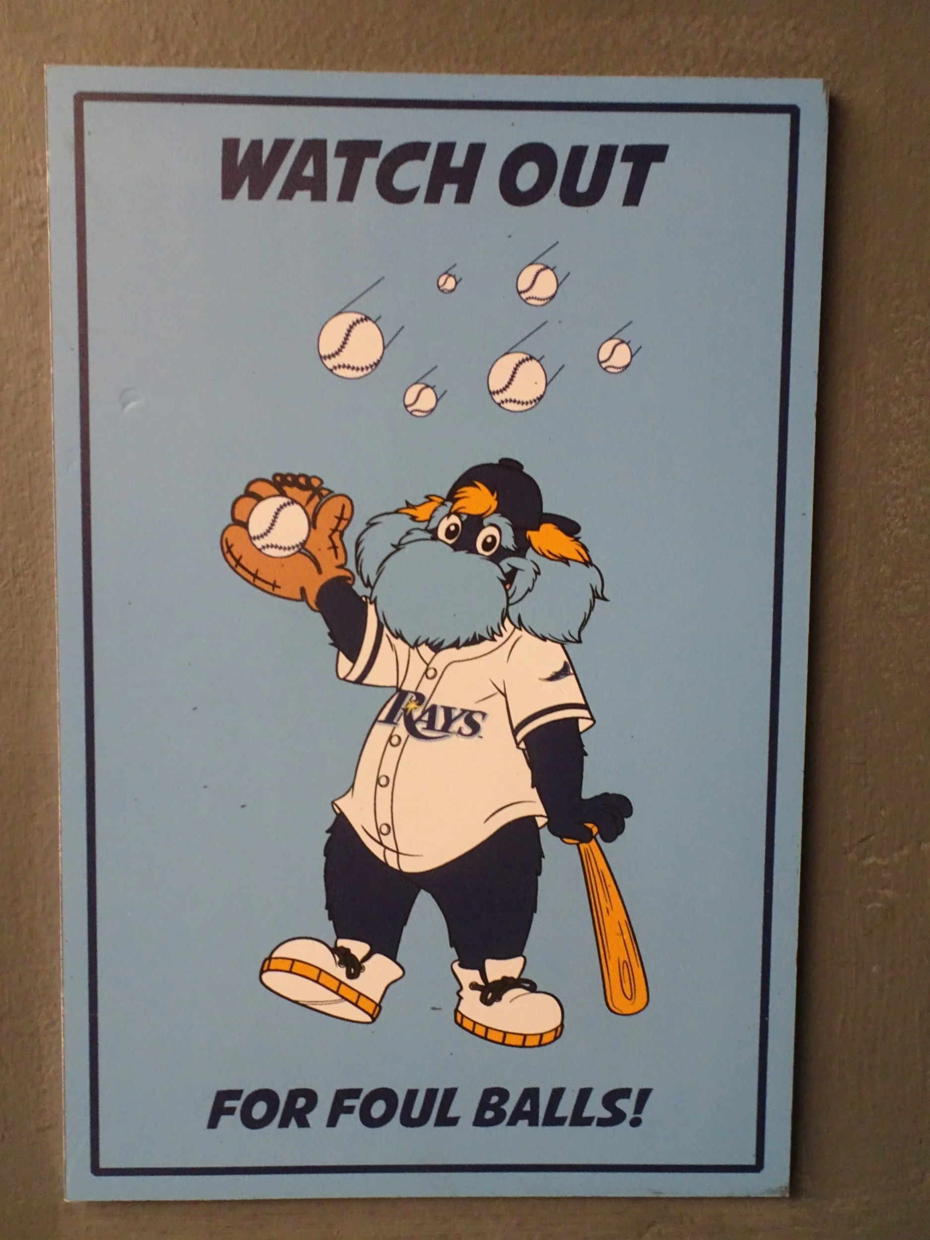 TampaBay03440.jpg