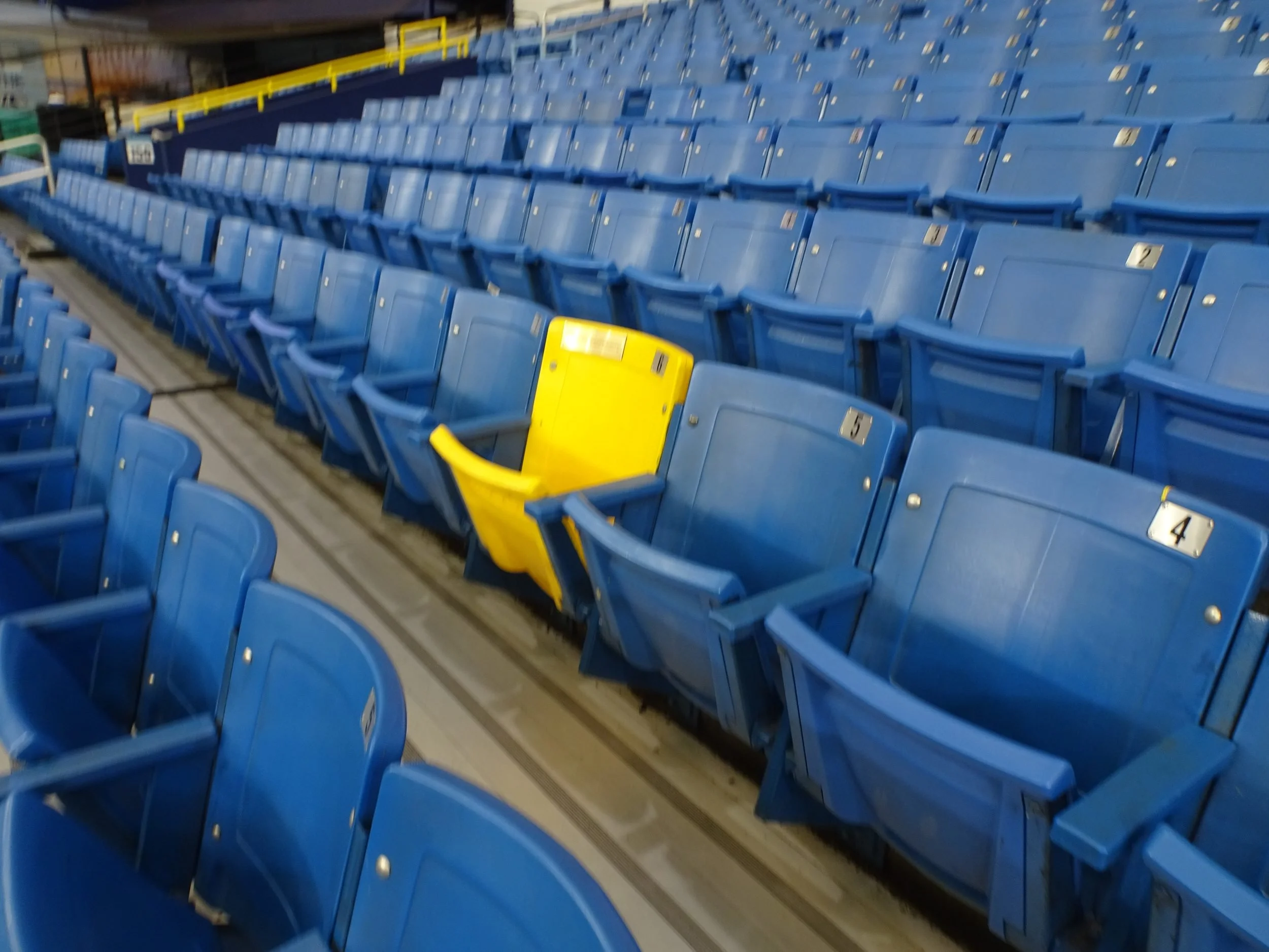 TampaBay03491.jpg