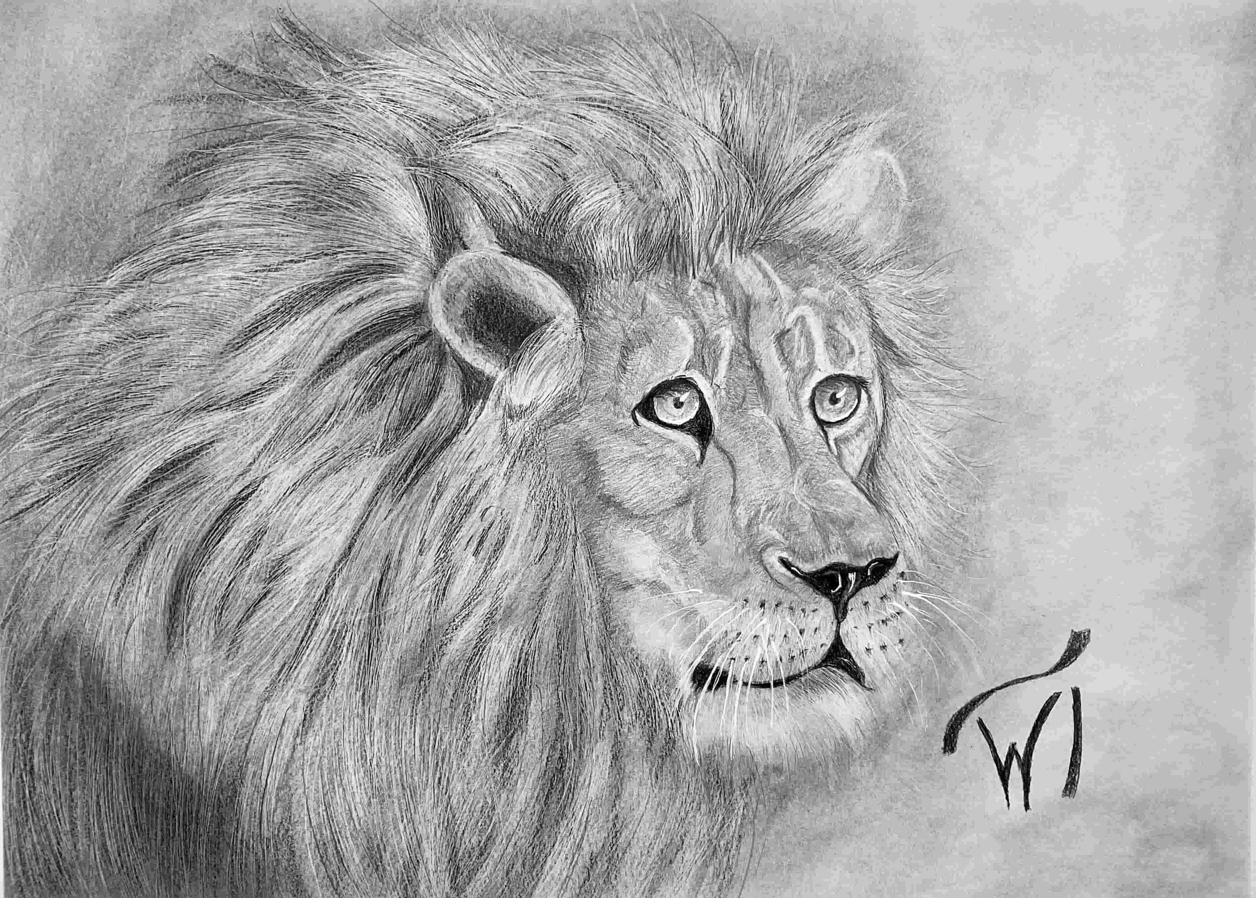Japanese Luster African Lion wildlife print - Walter Telemans Art Studio