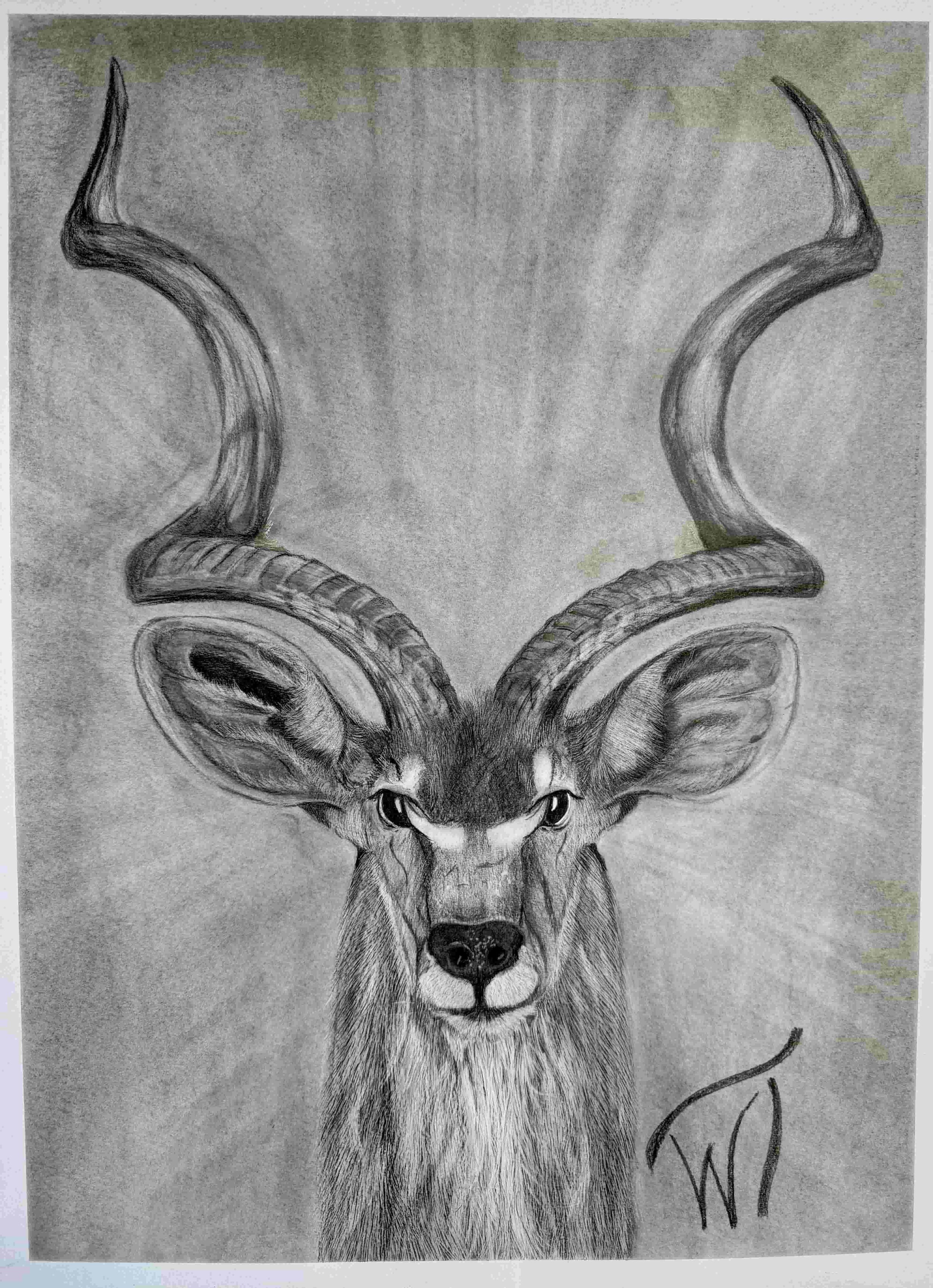 Japanese luster print African Kudu Antelope - Walter Telemans Art Studio