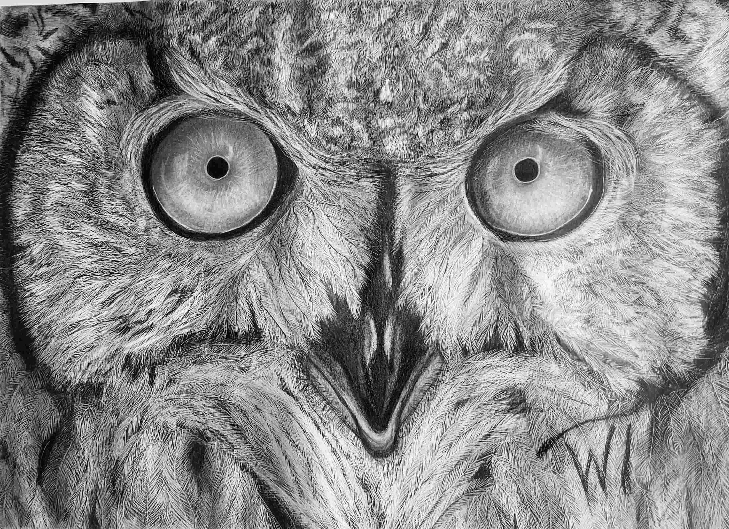 Japanese luster paper hyper-realistic Grey Owl - Walter Telemans Art Studio
