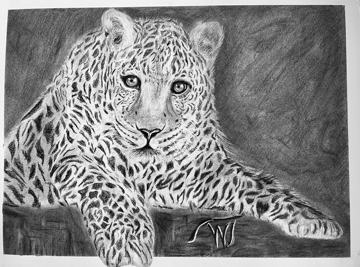 Canadian Snow Leopard - Japanese Pearl Luster - Walter Telemans Art Studio