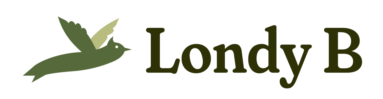 Londy B Travels