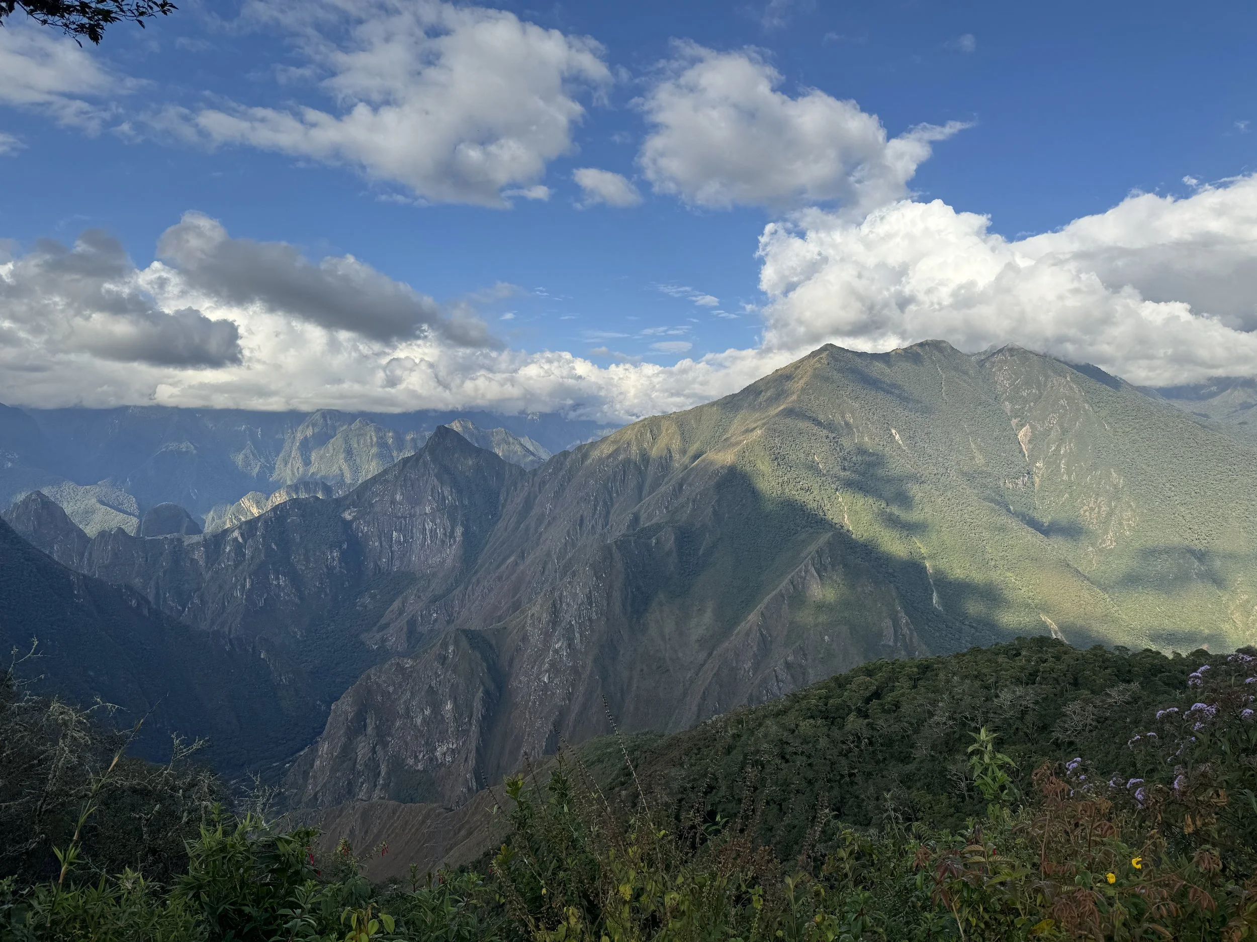 IMG_7046.jpeg