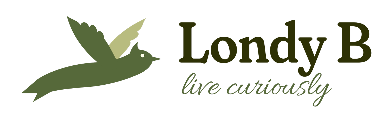 Londy B Travels