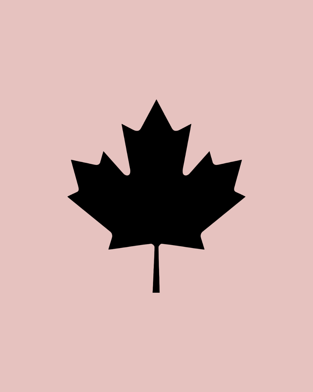 Icon of a maple leaf